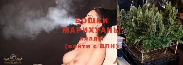 прущие грибы Беломорск