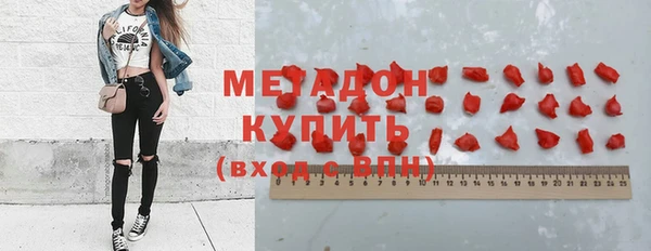 прущие грибы Беломорск