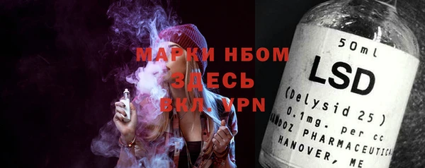 стаф Балахна