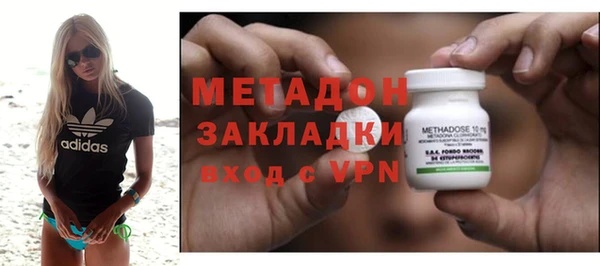 прущие грибы Беломорск