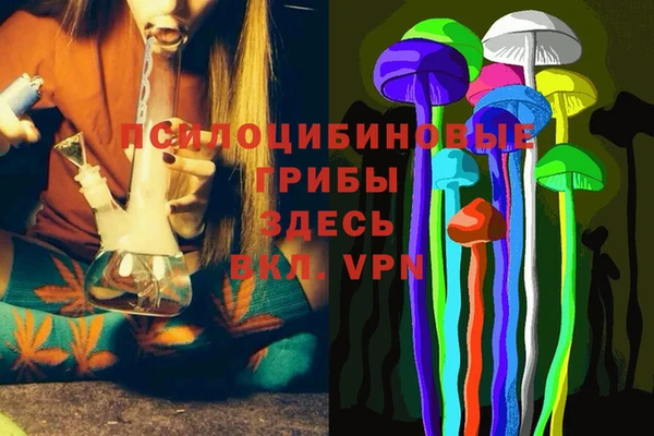 дурь Белокуриха