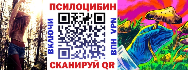 как найти наркотики  Бородино  kraken ссылки  Галлюциногенные грибы MAGIC MUSHROOMS 